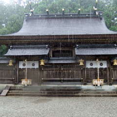 投稿日:2019年7月13日 写真