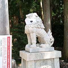 投稿日:2020年8月17日 写真