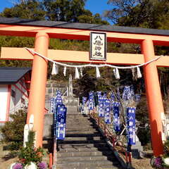 写真