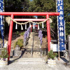 写真