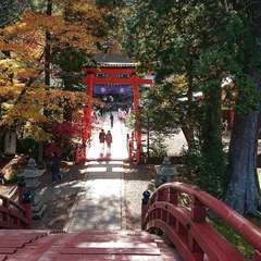 投稿日:2020年11月22日 写真