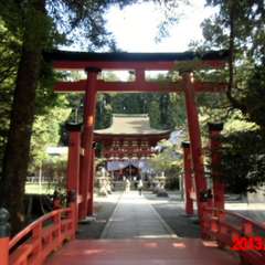 投稿日:2017年3月10日 写真