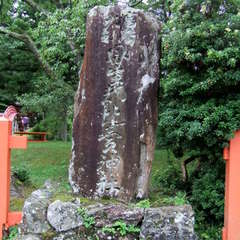 投稿日:2019年7月13日 写真