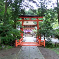 投稿日:2019年7月13日 写真
