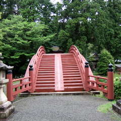 投稿日:2019年7月13日 写真