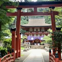 投稿日:2017年9月11日 写真