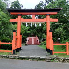 投稿日:2019年7月13日 写真