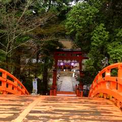 投稿日:2015年4月5日 写真