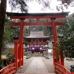 投稿日:2019年4月20日 写真