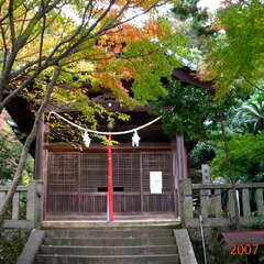衣奈八幡神社(投稿日:2025年10月26日) 写真