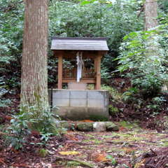 諸社④..(投稿日:2021年11月10日) 写真