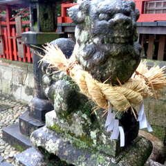 写真