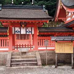 投稿日:2020年8月17日 写真