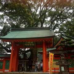 投稿日:2015年10月10日 写真