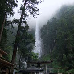 投稿日:2019年7月13日 写真