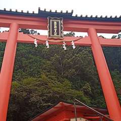 投稿日:2020年8月17日 写真