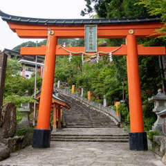 投稿日:2018年6月1日 写真