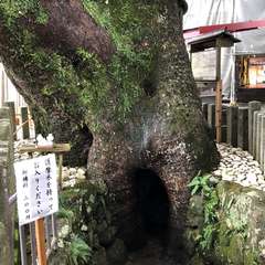 投稿日:2024年5月23日 写真