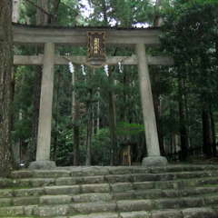 投稿日:2019年7月13日 写真