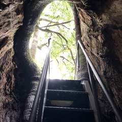 投稿日:2024年5月23日 写真