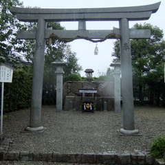 写真