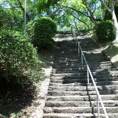投稿日:2019年6月16日 写真