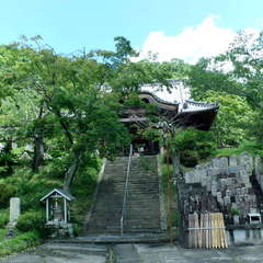 投稿日:2019年6月16日 写真