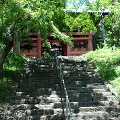 投稿日:2019年6月16日 写真