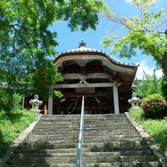 投稿日:2019年6月16日 写真