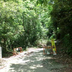 投稿日:2019年6月16日 写真