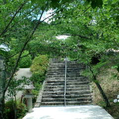 投稿日:2019年6月16日 写真