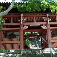 投稿日:2019年6月16日 写真