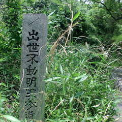 投稿日:2019年6月16日 写真