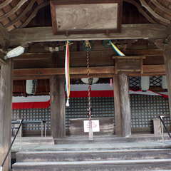 投稿日:2019年6月16日 写真