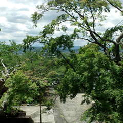 投稿日:2019年6月16日 写真