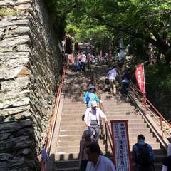 投稿日:2016年6月10日 写真