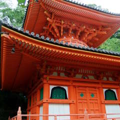 投稿日:2019年12月7日 写真