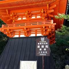 投稿日:2016年5月8日 写真