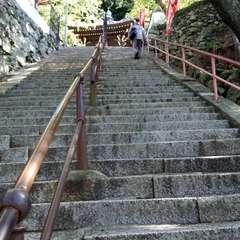 投稿日:2016年5月8日 写真