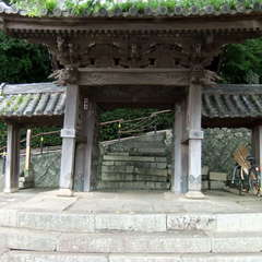 投稿日:2019年12月7日 写真