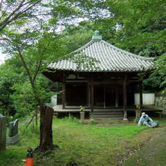 投稿日:2019年12月7日 写真