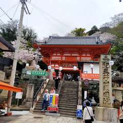 投稿日:2024年5月18日 写真