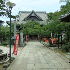 投稿日:2019年7月13日 写真