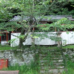 投稿日:2019年12月7日 写真