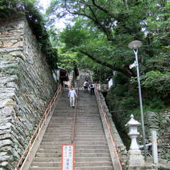 投稿日:2019年7月13日 写真