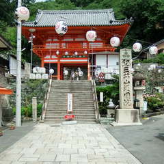 投稿日:2019年7月13日 写真