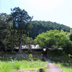 全景...(投稿日:2021年5月30日) 写真