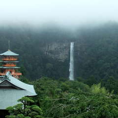 投稿日:2019年7月13日 写真