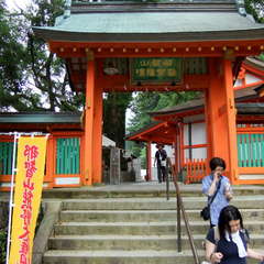 投稿日:2019年7月13日 写真