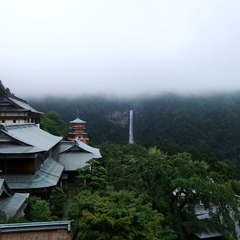 投稿日:2019年7月13日 写真